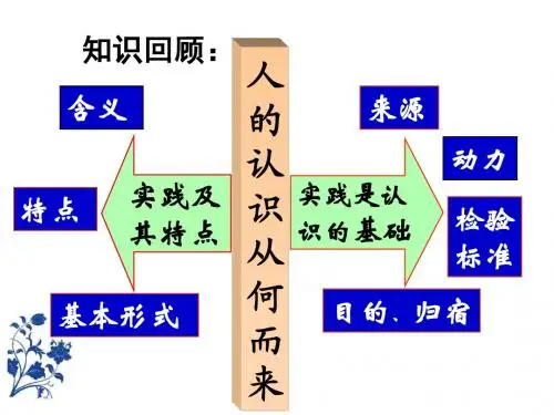 在实践中追求和发展真理(上课用)