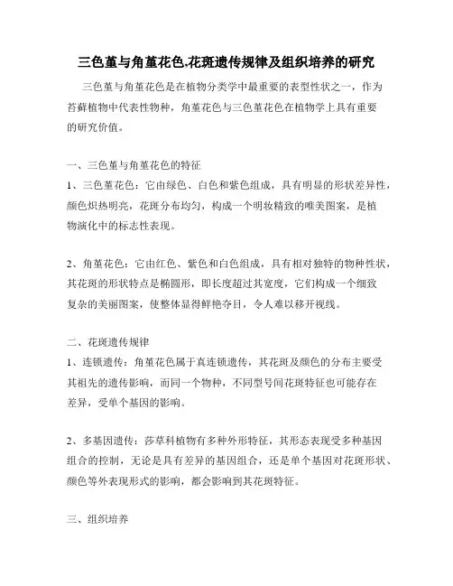三色堇与角堇花色,花斑遗传规律及组织培养的研究