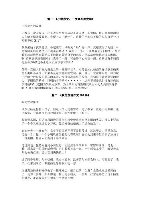 一次意外的发现作文500字