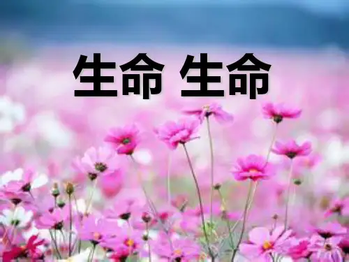 人教版小学四年级下册语文生命生命教学PPT课件