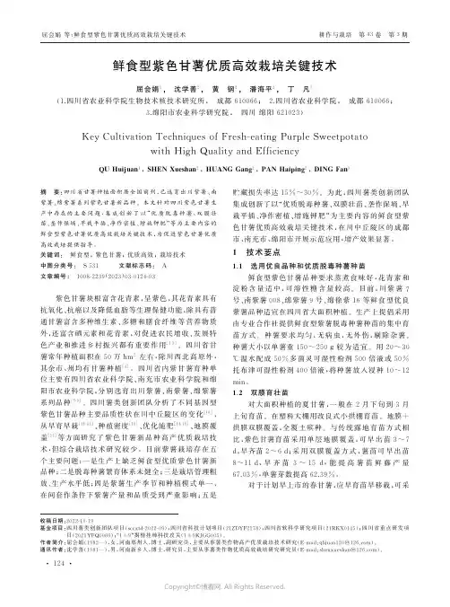 鲜食型紫色甘薯优质高效栽培关键技术
