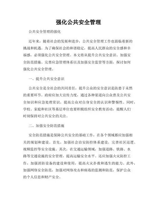 强化公共安全管理