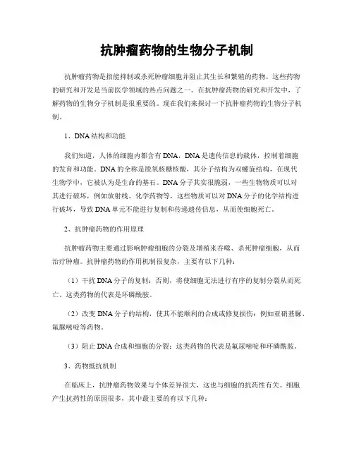 抗肿瘤药物的生物分子机制