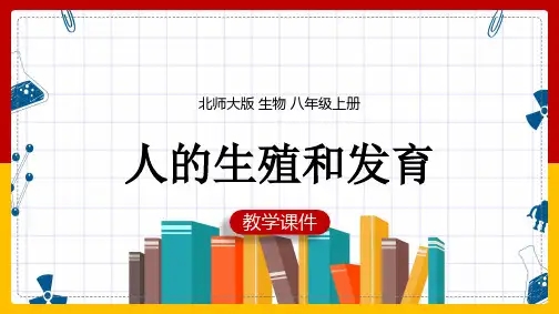 初中生物北师大版八年级上册《19.1人的生殖和发育》课件
