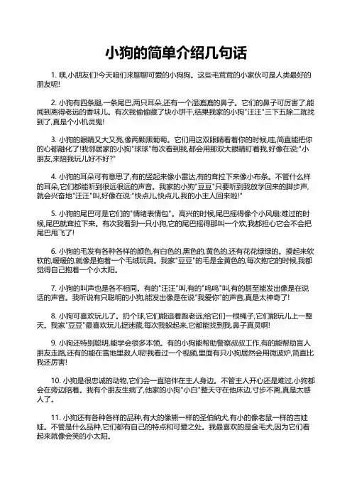 小狗的简单介绍几句话