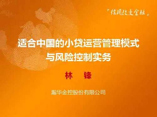 小贷运营管理模式与风险控制实务49页PPT文档