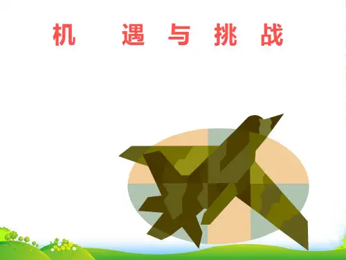 九年级政治 第十一课机遇与挑战课件 陕教版