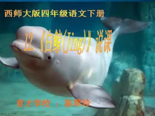 五年级语文下册《白鲸 》课件(2)