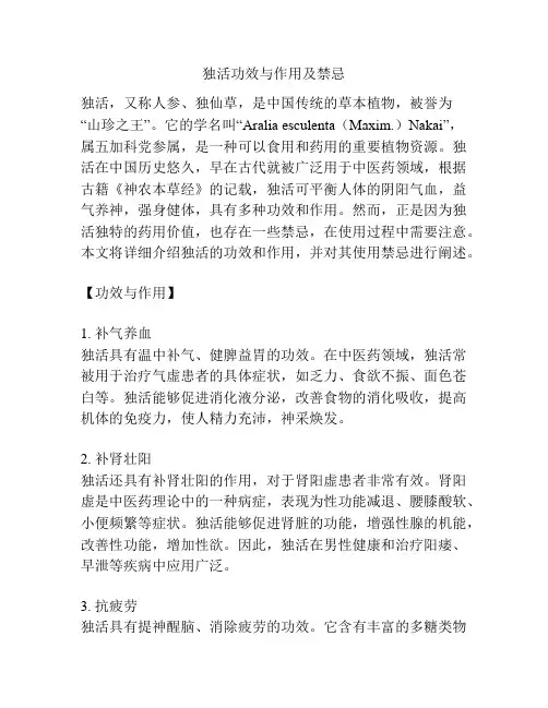 独活功效与作用及禁忌