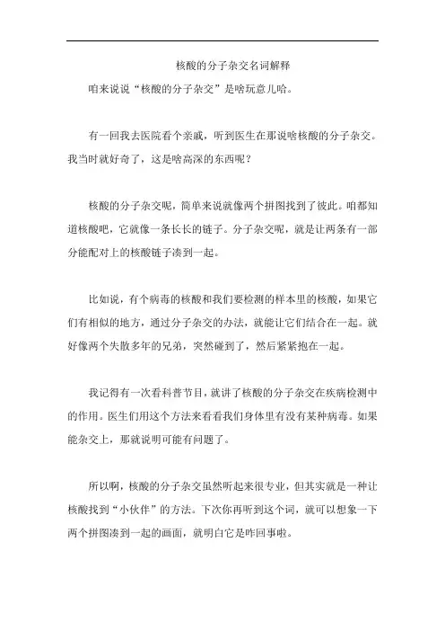 核酸的分子杂交名词解释