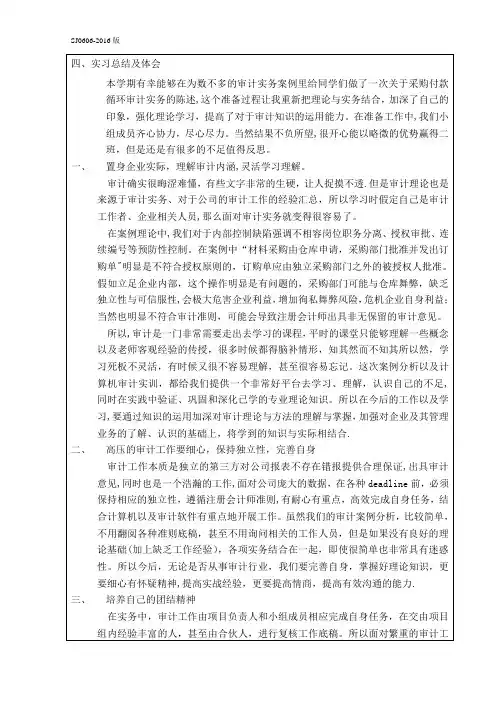 审计案例分析总结,审计实习报告