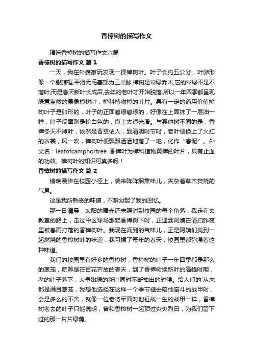 香樟树的描写作文