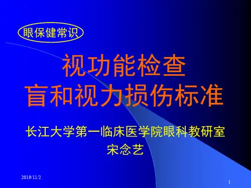 视功能检查