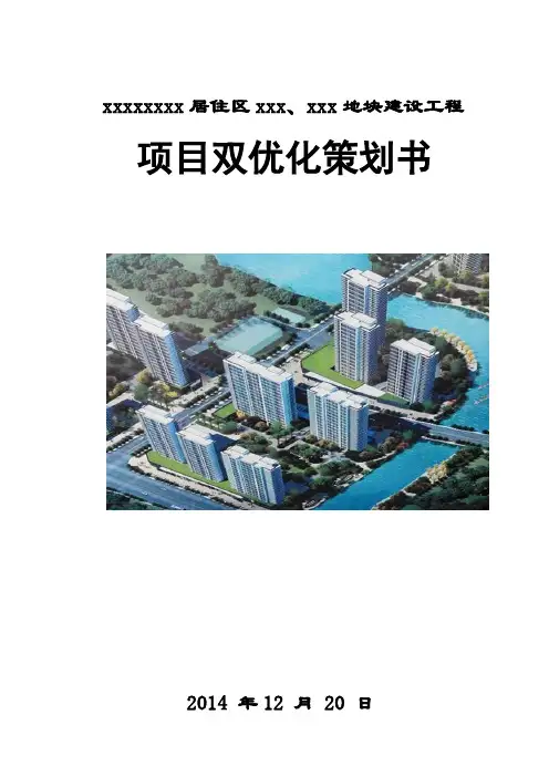 .项目双优化策划书(.)