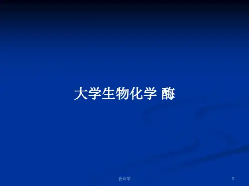 大学生物化学 酶PPT教案