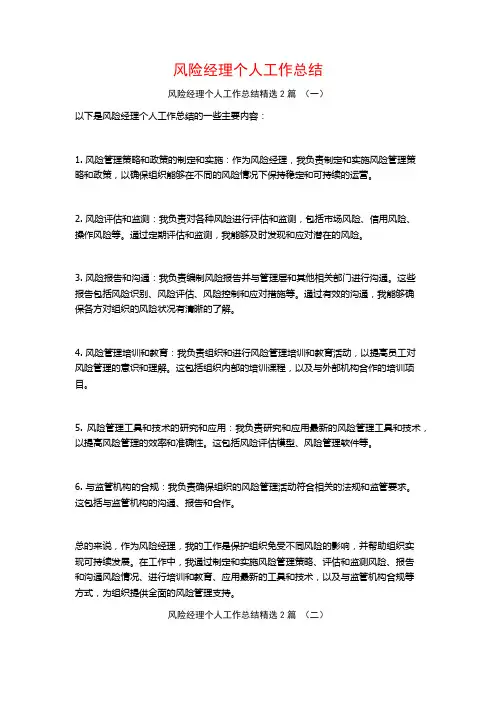 风险经理个人工作总结2篇