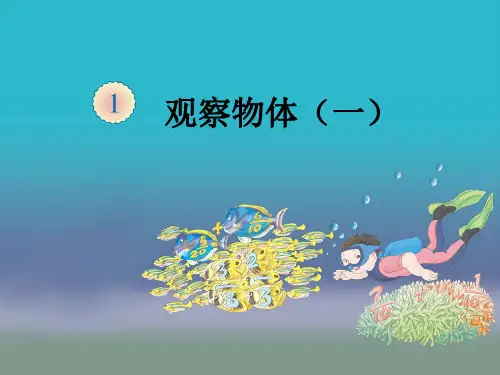 五年级观察物体(一)讲课教案