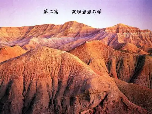 沉积岩1