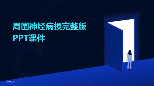 2024版周围神经病损完整版PPT课件[1]