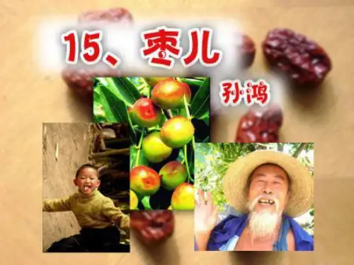 《枣儿》正式课件完美版