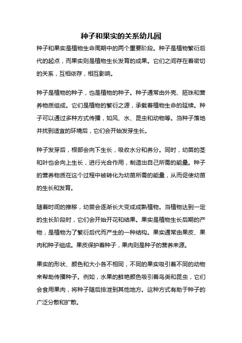 种子和果实的关系幼儿园