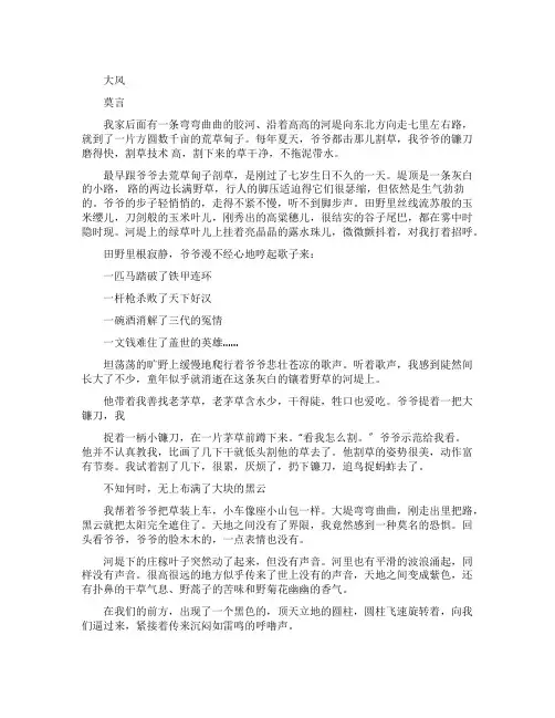 莫言《大风》阅读答案