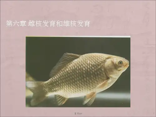 雌核发育和雄核发育