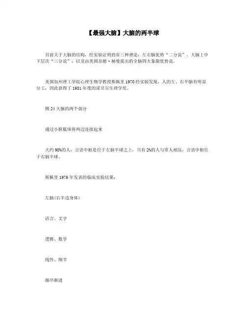 【最强大脑】大脑的两半球