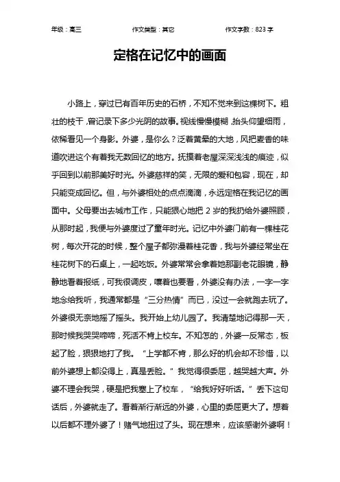 定格在记忆中的画面作文【高中高三800字】