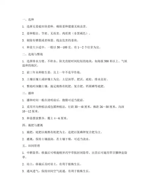 小黄姜种植管理技术要点