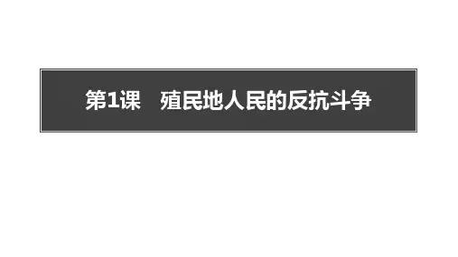 《殖民地人民的反抗斗争》PPT优秀课件