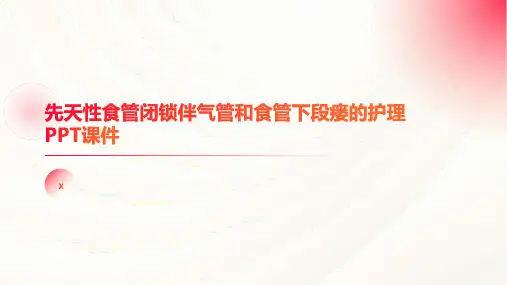 先天性食管闭锁伴气管和食管下段瘘的护理PPT课件