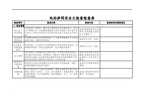 电站涉网安全检查