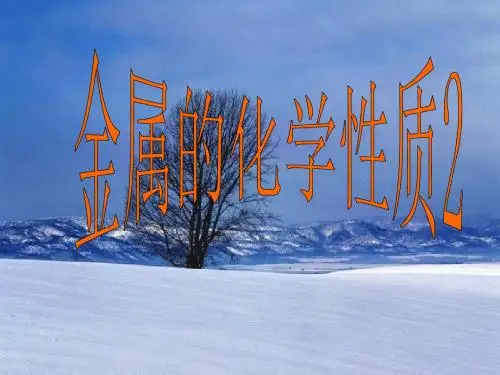 (新)浙教版九年级科学上册2.2 金属的化学性质 (共7张PPT)