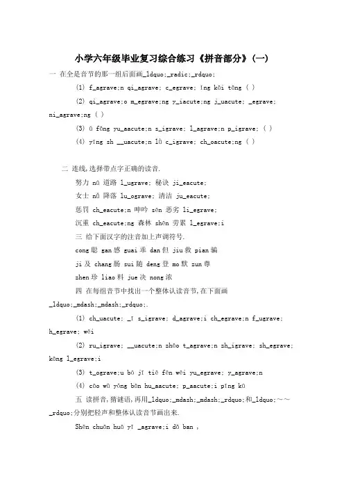 小学六年级毕业复习综合练习《拼音部分》(一)