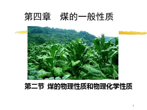 煤的物理性质和物理化学性质