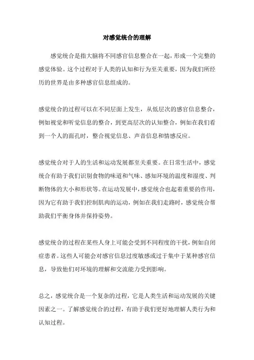 对感觉统合的理解