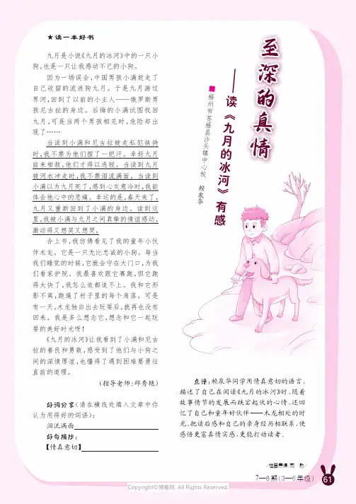 至深的真情——读《九月的冰河》有感