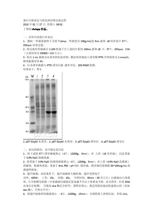 蛋白可溶表达与纯化的详细实验过程