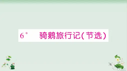 部编版《骑鹅旅行记》ppt课件1