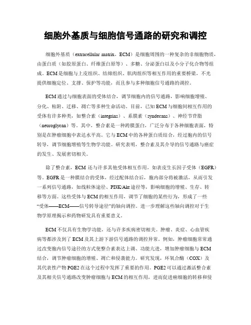 细胞外基质与细胞信号通路的研究和调控
