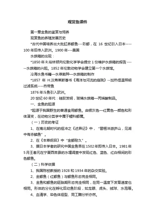 观赏鱼课件