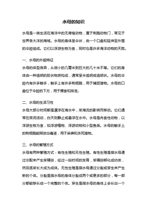 水母的知识