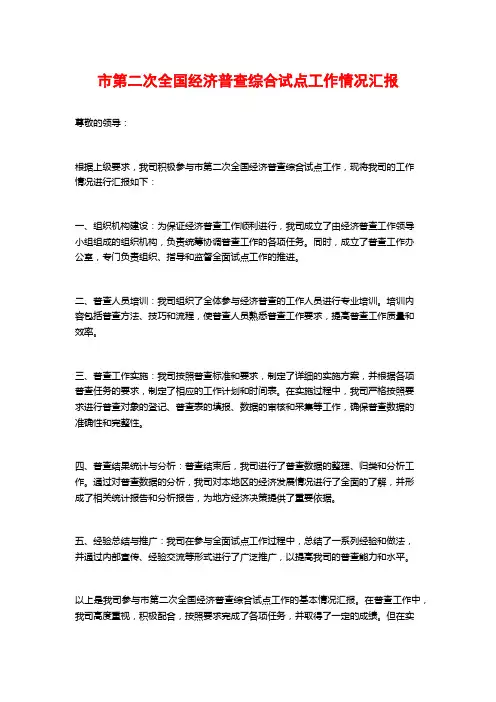 市第二次全国经济普查综合试点工作情况汇报