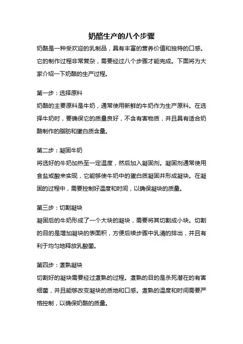 奶酪生产的八个步骤