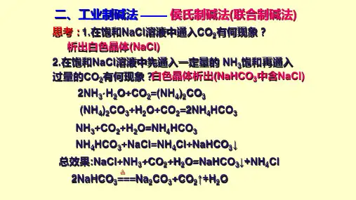 3.2专项侯氏制碱法课件-人教版高中化学必修一