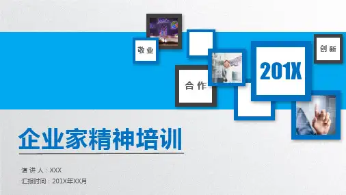 专题资料企业家精神培训PPT课件