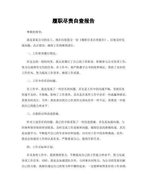 履职尽责自查报告