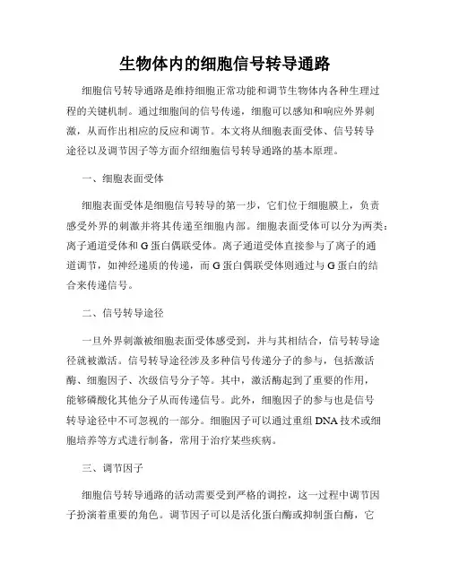 生物体内的细胞信号转导通路
