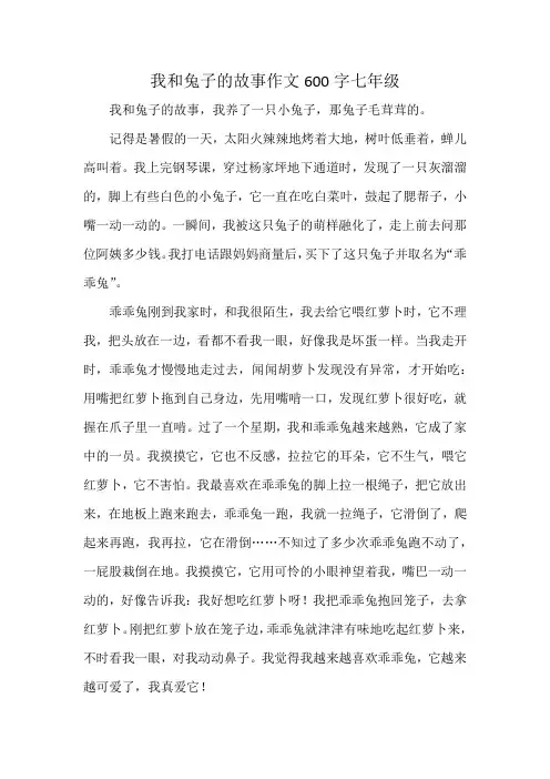 我和兔子的故事作文600字七年级